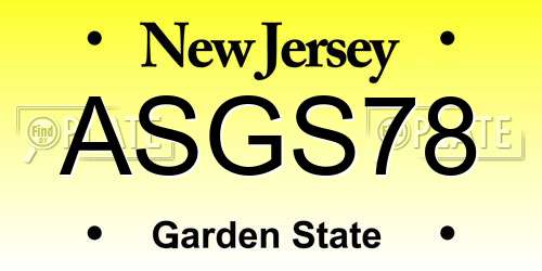 ASGS78 New Jersey License Plate