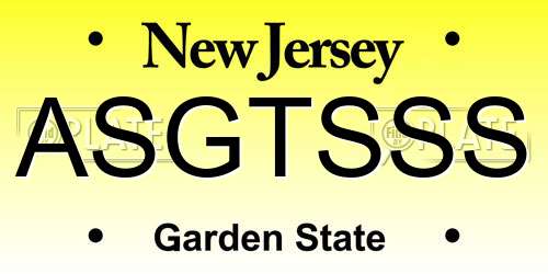 ASGTSSS New Jersey License Plate