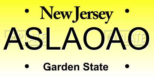 ASLAOAO New Jersey License Plate