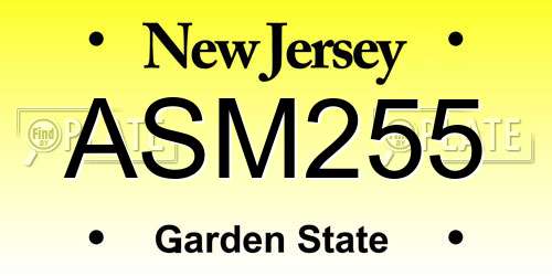ASM255 New Jersey License Plate