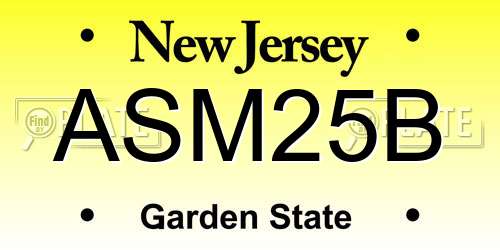 ASM25B New Jersey License Plate