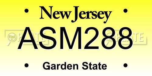 ASM288 New Jersey License Plate