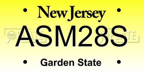 ASM28S New Jersey License Plate