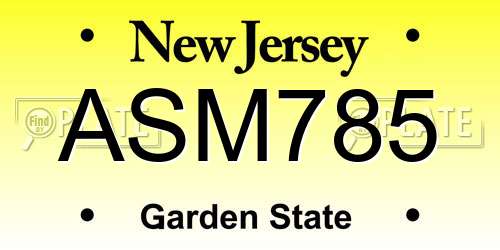 ASM785 New Jersey License Plate