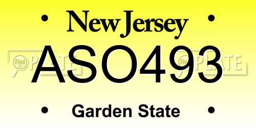 ASO493 New Jersey License Plate