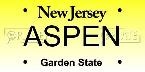 ASPEN New Jersey License Plate