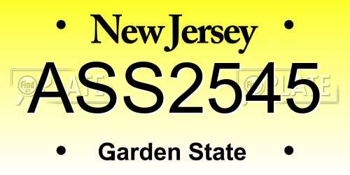 ASS2545 New Jersey License Plate
