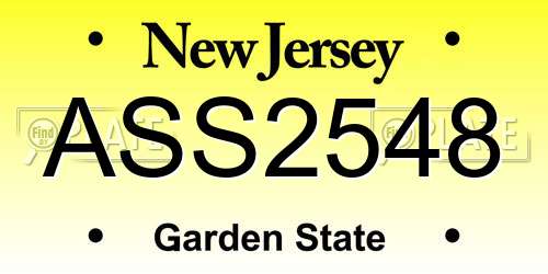 ASS2548 New Jersey License Plate