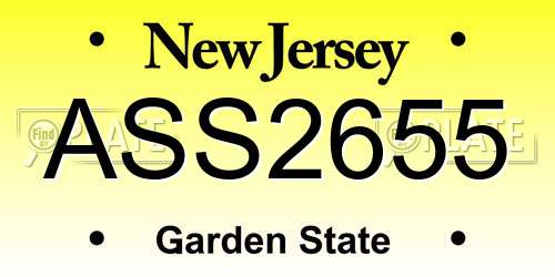 ASS2655 New Jersey License Plate