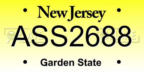 ASS2688 New Jersey License Plate