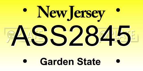 ASS2845 New Jersey License Plate