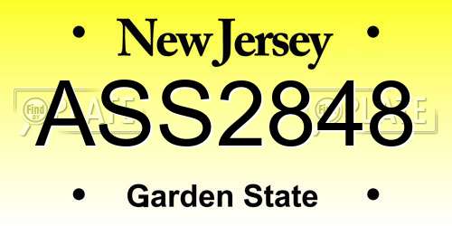 ASS2848 New Jersey License Plate