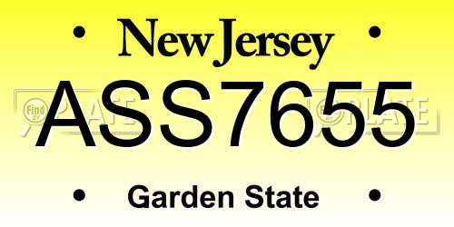 ASS7655 New Jersey License Plate