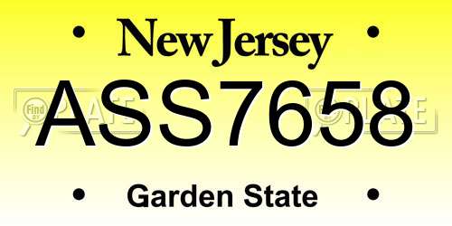 ASS7658 New Jersey License Plate