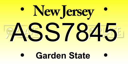 ASS7845 New Jersey License Plate