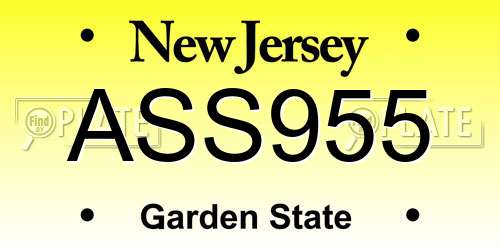 ASS955 New Jersey License Plate