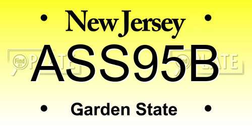 ASS95B New Jersey License Plate