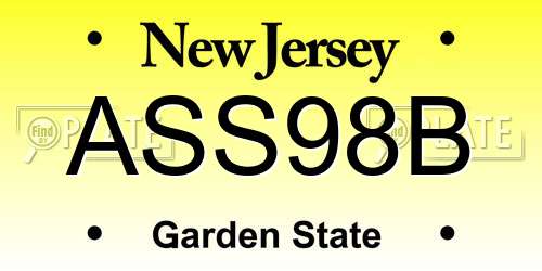 ASS98B New Jersey License Plate