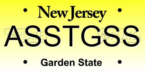 ASSTGSS New Jersey License Plate