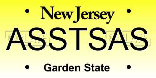 ASSTSAS New Jersey License Plate