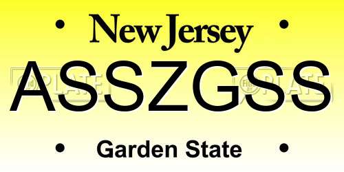 ASSZGSS New Jersey License Plate