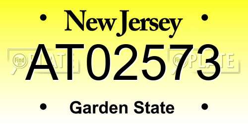 AT02573 New Jersey License Plate