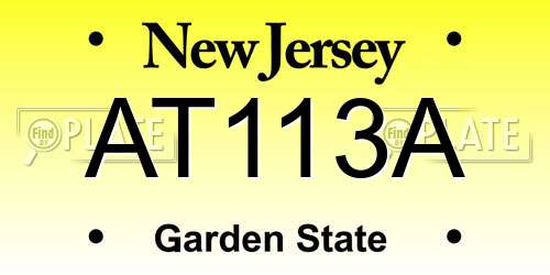 AT113A New Jersey License Plate