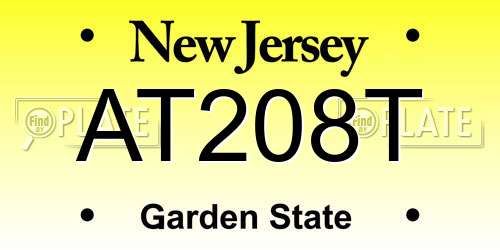AT208T New Jersey License Plate