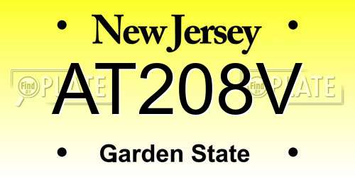 AT208V New Jersey License Plate