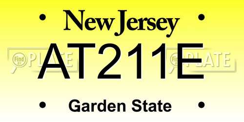AT211E New Jersey License Plate