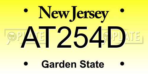 AT254D New Jersey License Plate