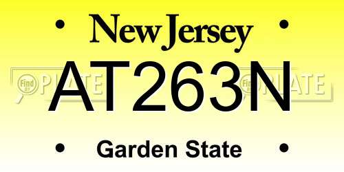 AT263N New Jersey License Plate