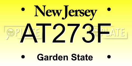 AT273F New Jersey License Plate