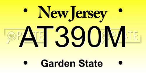 AT390M New Jersey License Plate