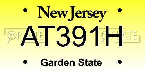 AT391H New Jersey License Plate
