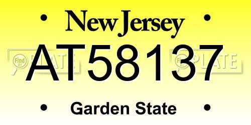AT58137 New Jersey License Plate