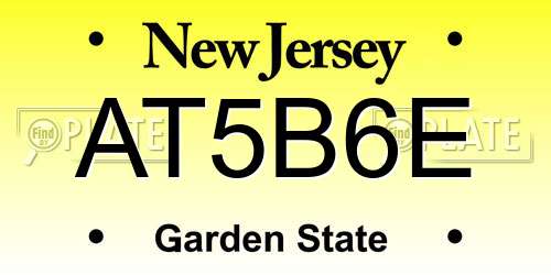 AT5B6E New Jersey License Plate