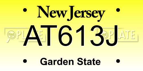 AT613J New Jersey License Plate