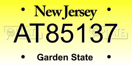 AT85137 New Jersey License Plate