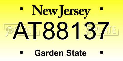 AT88137 New Jersey License Plate