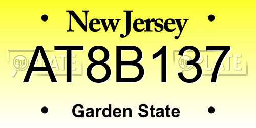 AT8B137 New Jersey License Plate
