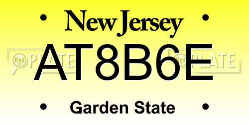 AT8B6E New Jersey License Plate