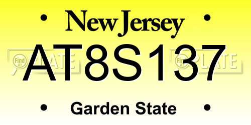 AT8S137 New Jersey License Plate