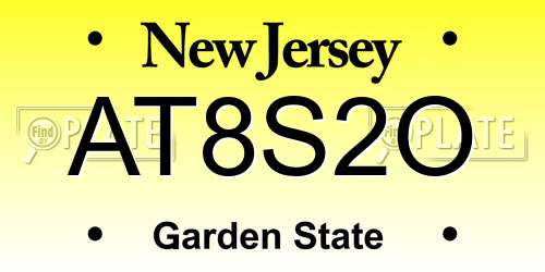 AT8S2O New Jersey License Plate