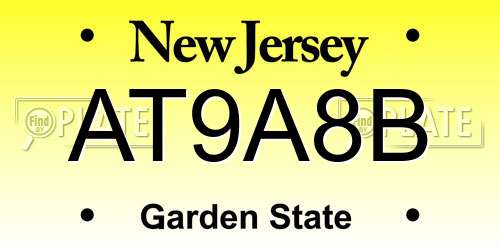 AT9A8B New Jersey License Plate