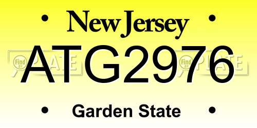 ATG2976 New Jersey License Plate
