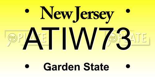 ATIW73 New Jersey License Plate