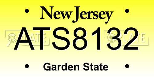 ATS8132 New Jersey License Plate
