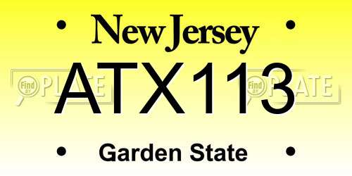 ATX113 New Jersey License Plate
