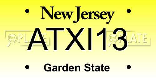 ATXI13 New Jersey License Plate